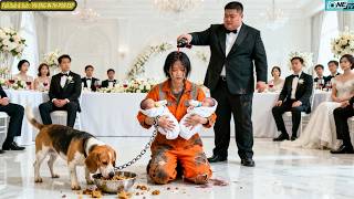 Cô Gái Bị Quản Lý Bắt Nạt Đánh Đập, Ai Ngờ Là Con Gái Thất Lạc Của Tý Phú Liền Quỳ Xuống Xin Tha