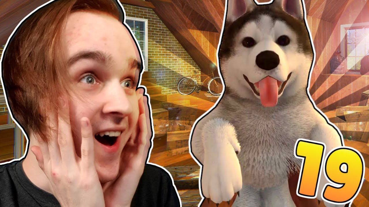 TVARKOM LŪŠNĄ 19 - Šuniukai!