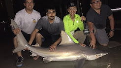 Bob Hall Pier Shark Fishing 3-19-18