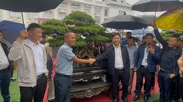 EM TƯ ĐEN ĐÔNG ANH - GIAO LƯU CÂY TIỀN TỶ TẠI TRIỂN LÃM ĐẤT TỔ 2025