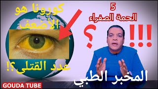 هل تعلم عدد ضحايا الفيروسات عبر التاريخ