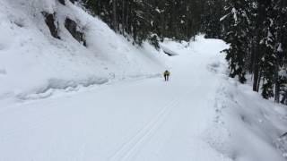 Adrian Up Hill Double Pole
