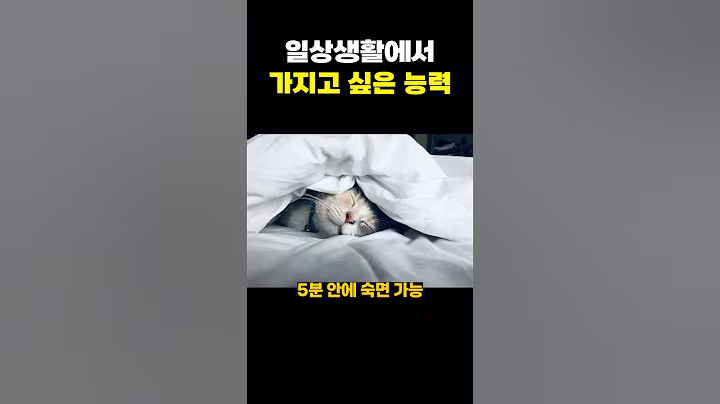 일상생활에서 가지고 싶은 능력