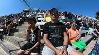 Ozfest 2022 Sea Wrld Dolphin Show Part 1