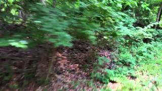 Gwynn Falls Trail