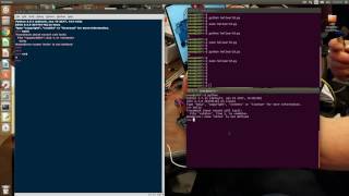 Python IDE options Wealth