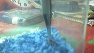 venus fly trap eats