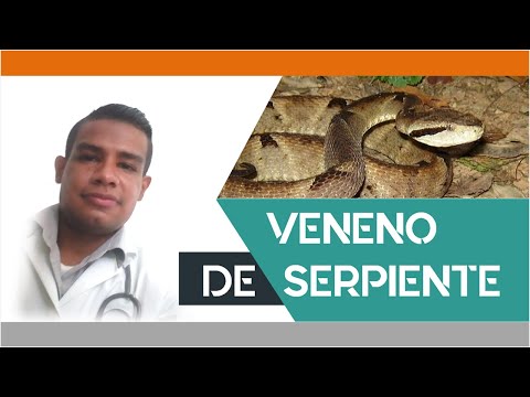 Vídeo: Enfoque Antivenómico De Diferentes Venenos De Crotalus Durissus Collilineatus