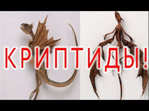 Загадочные Существа Криптиды!| Виктор Максименков