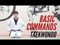 [BEMA] Taekwondo Basic Commands/태권도 기본용어