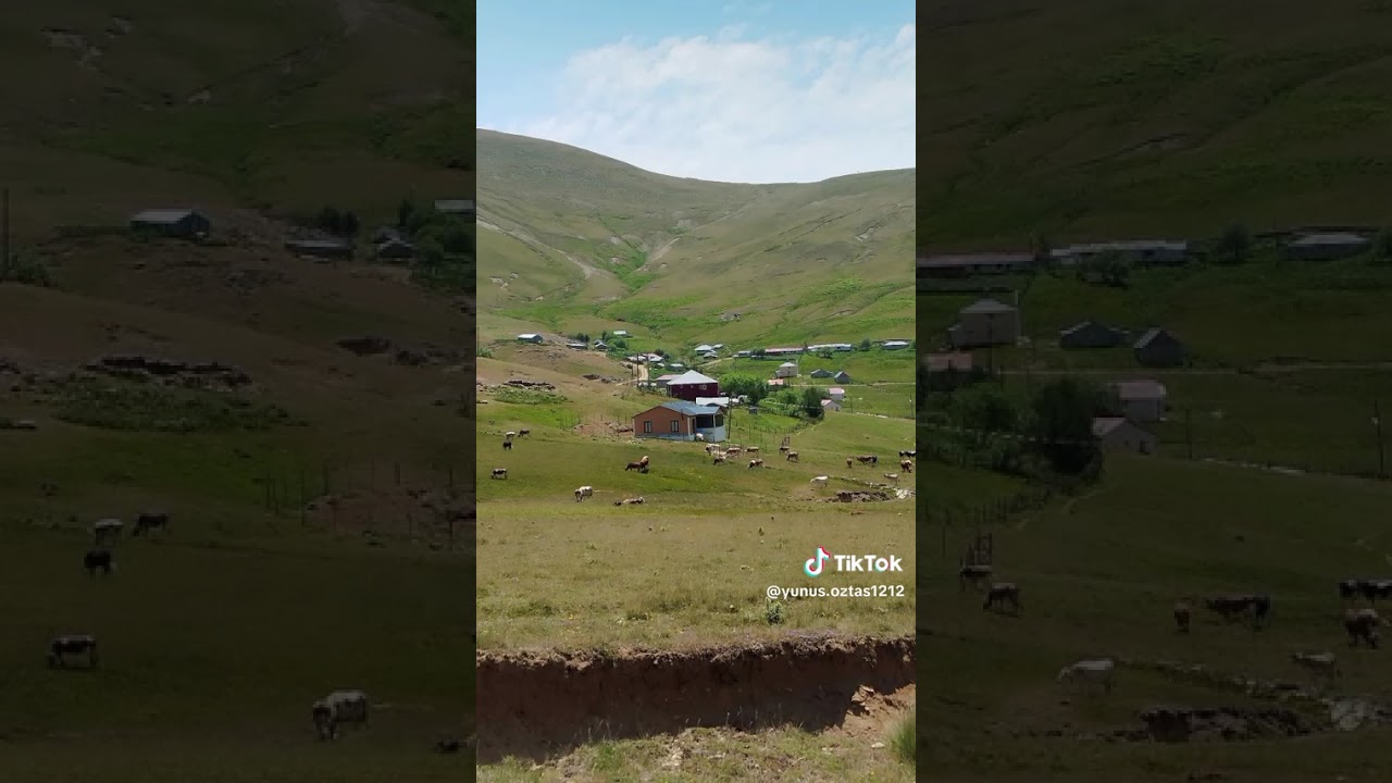 Vartolu dengbej brindar Ahmet ✌️❤️