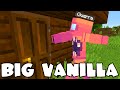 UNA NUOVA AVVENTURA! MINECRAFT - BIG VANILLA EP #1