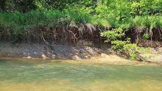 Arkansas Arrowhead Hunting / Nature & Creek Landscape in the Ozarks Late Spring 2024