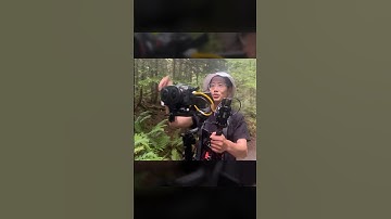 NEW Firmware for Canon EOS R5C 🎥 Better VR180 Filming? 🤔