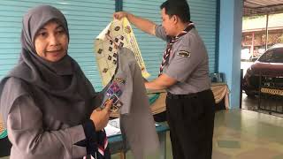 Penerangan lencana pengakap