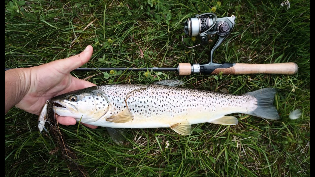 Pêche en lac d'altitude dans les Hautes Alpes -  Juillet 2023