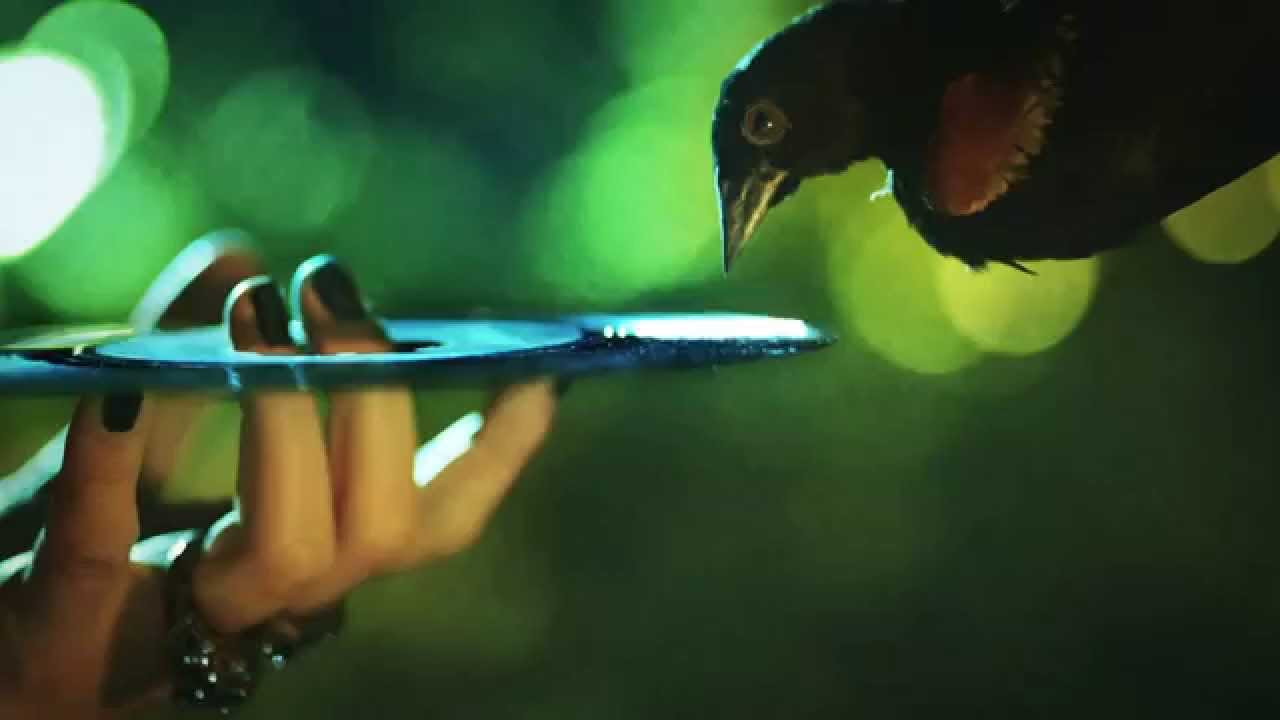 GISÈLE PAPE — ENCORE (Officiel) auf YouTube ansehen GISÈLE PAPE — ENCORE (Officiel) auf YouTube ansehen