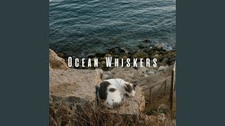 Harmonious Whiskers and Mellow Sax