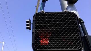 McCain Pedestrian Signal with Countdown Timer