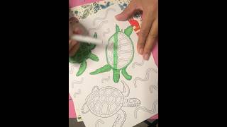 Turtle Coloring Page