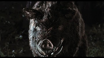 S.T.A.L.K.E.R. Lost Alpha DC Extended v2.86 Max settings #21 - Killing mutants for money !!!!