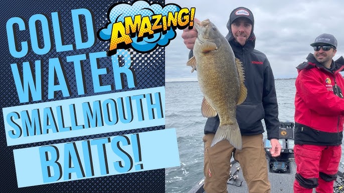 Sight Casting For GIANT Smallmouth Bass In The Clearest Water You've Ever  Seen! 