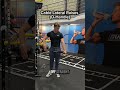 Cable Lateral Raises (D-Handle)