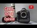 My thoughts on Canon 1DX Mark II, why it's best Professional Camera