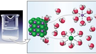 فيديو توضيحي لذوبان كلوريد الصوديوم NaCl في الماء