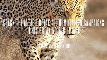 💫 Crack the Altar 💫 | Eliminate the Humiliation Campaign | Hex Breaking Subliminal