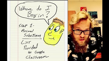 Animal Adaptations Project Introduction Video