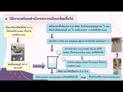 การพัฒนาสูตรตำรับเจลจากเมือกเห็ดเยื่อไผ่ Rx HCU