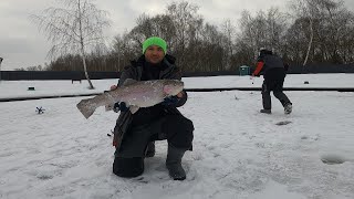 Ловля форели зимой на платнике 