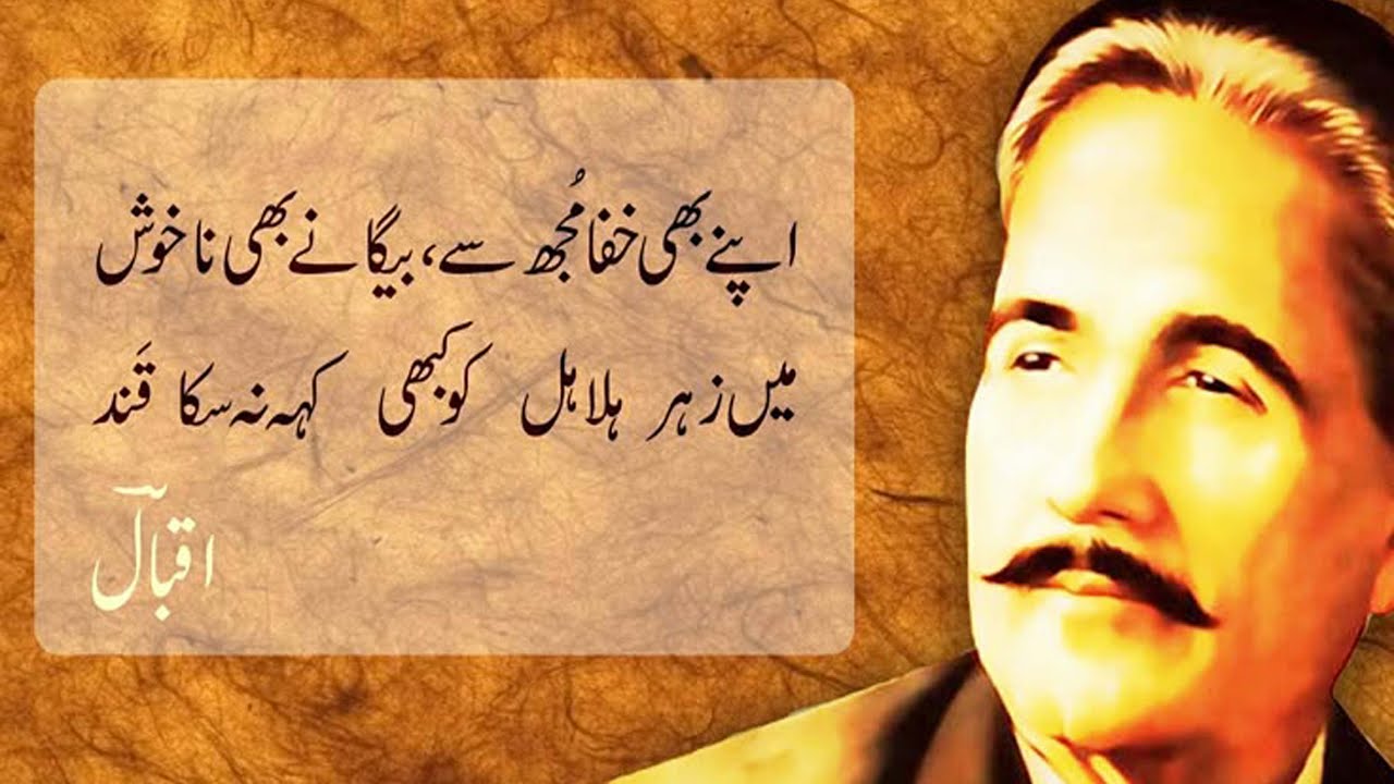 Allama Iqbal Shayari | Whatsapp Status | Shayari Status | Heart Touching Poetry | Urdu Shayari