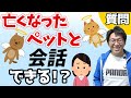【ペットロス】亡くなったペットと話せるのか?【アニマルコミュニケーション】