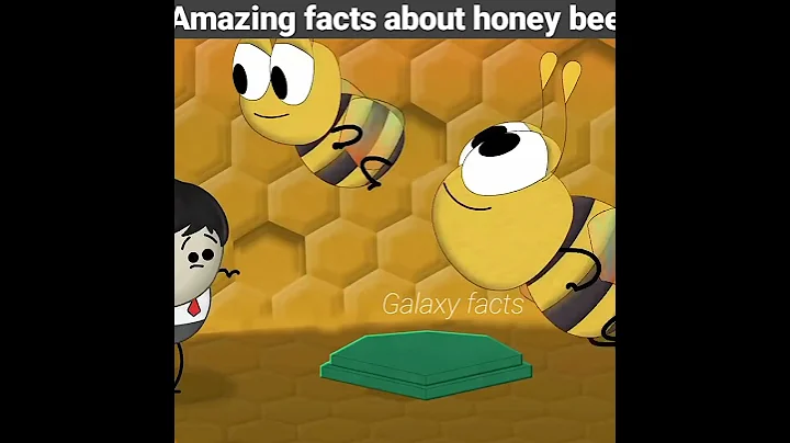 Amazing facts about honey bee। #shorts #amazingfacts #youtube