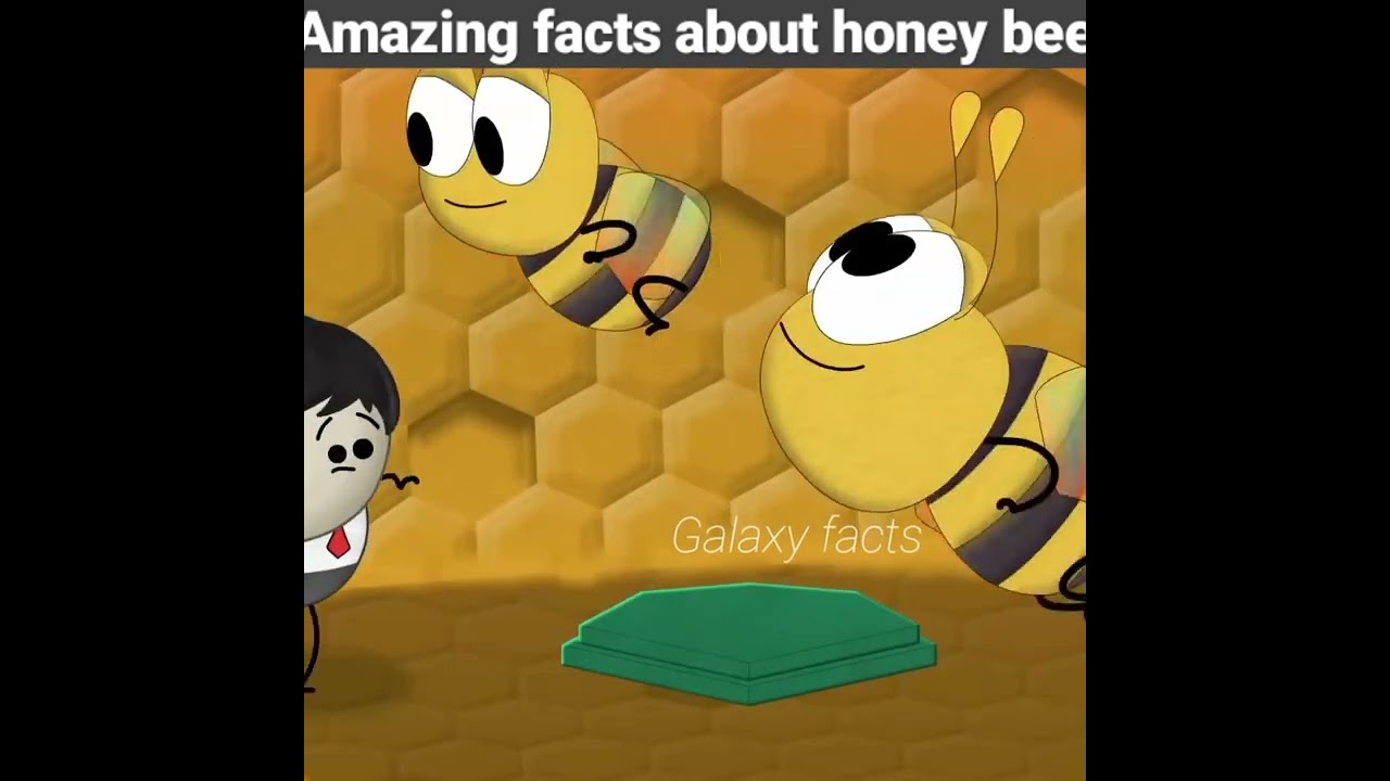 Amazing facts about honey bee। 