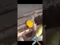 Funny Tik Tok Video Try Not To Laugh Shorts Funnehcake Shorts Video Shorts Funny Funnymike Funneh 