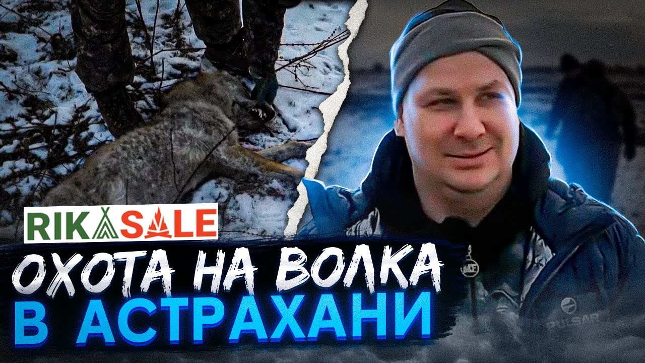 Охота на волка в Астрахани. Сезон 2022. Часть первая. Волки рыщут ...