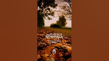 اجمل ما قرأ.القارئ ادهم محمود عمر. #سورة_الزلزلة #القرآن_الكريم #قران_كريم