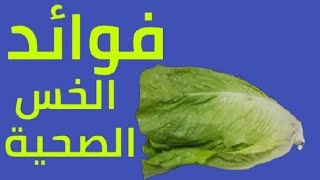 هل تعلم؟ الفوائد الصحية للخس