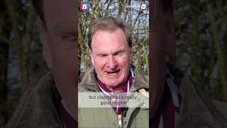 Lulamba Stable Tour  Cheltenham Festival Tips 2025  Horse Racing Tips