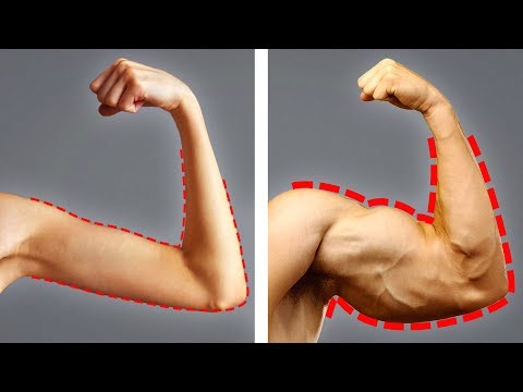 Vídeo: Como Ganhar Peso E Construir Músculos