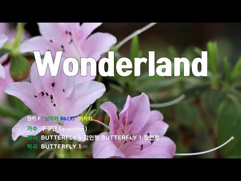 [은성 반주기] Wonderland - 구구단(gugudan)