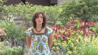 SIUE School of Education - Danielle Fawbush