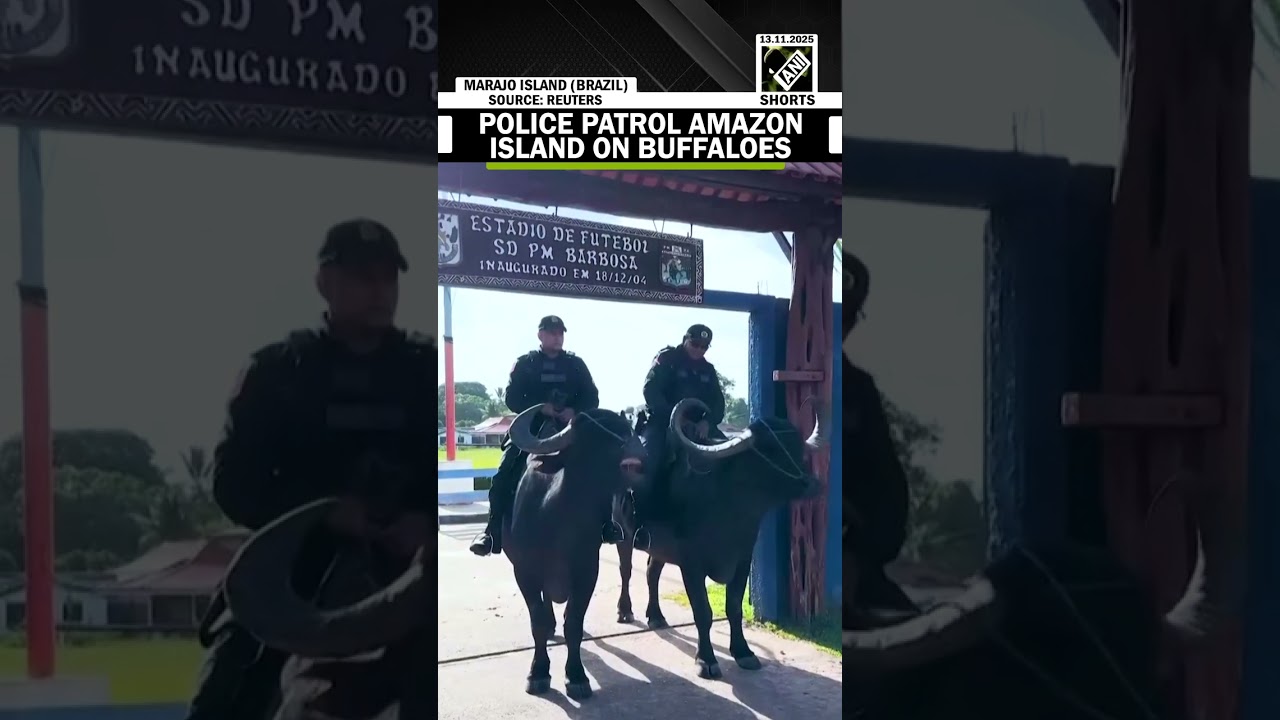Across the bay from COP30, police patrol an Amazon island on buffaloes to ensure safety