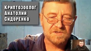 Анатолий Сидоренко. Криптозоолог. Про алмасты.