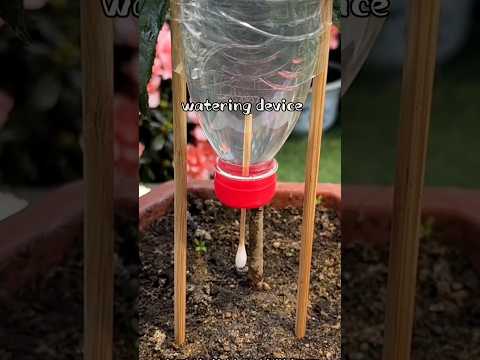 AUTOMATIC WATERING DEVICE Gardening