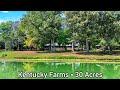 Kentucky Farms For Sale / 29+ Acres /Horse Training With Indoor Arena/Kentucky Real Estate Farmstead