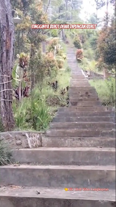 Tingginya Bukit Dewa ‼️Wonoharjo Rowokele Kebumen ❤️